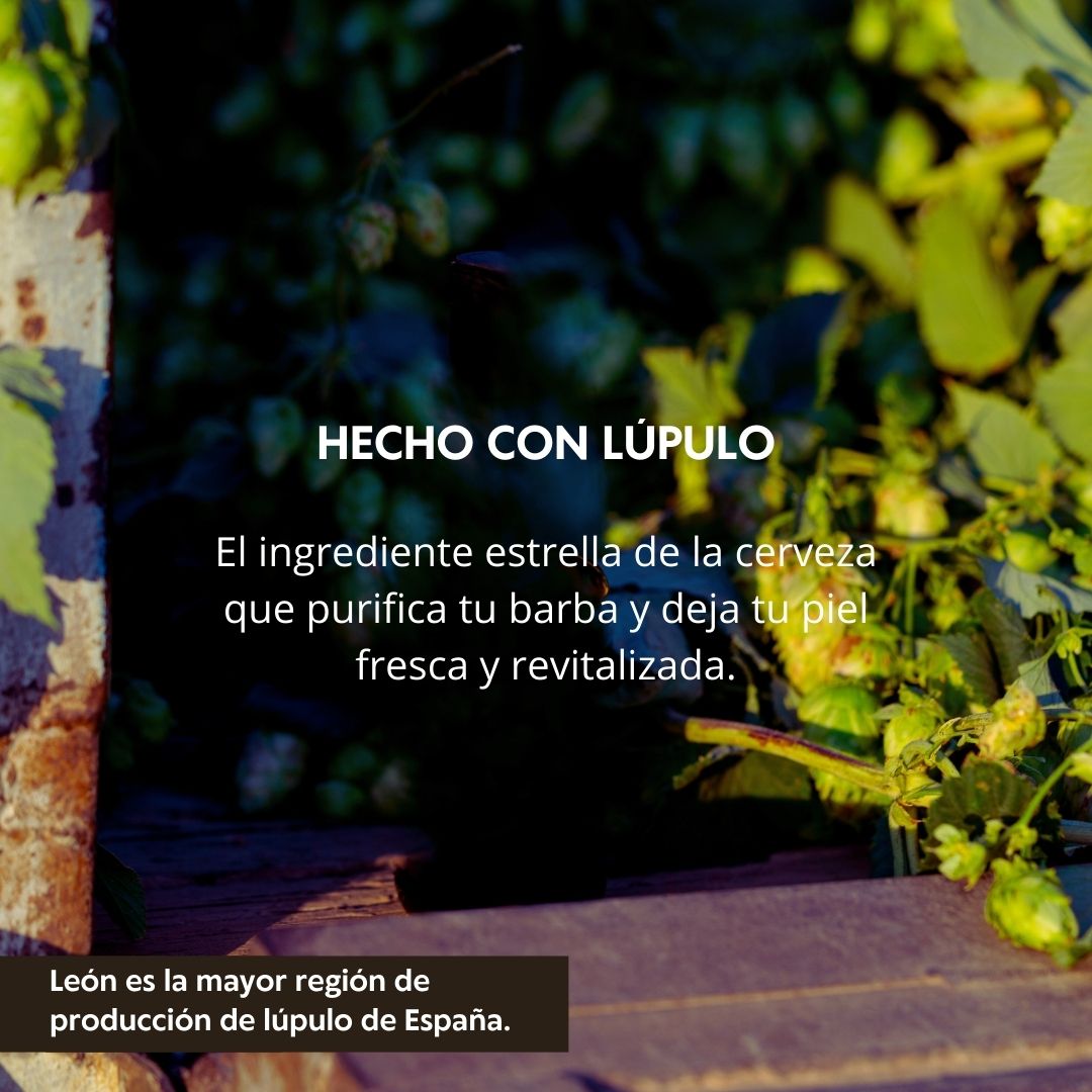 Champú especial para la limpieza de la barba y el rostro masculino Beardburys Essentials, calma picor e irritación, sin brillos ni grasa